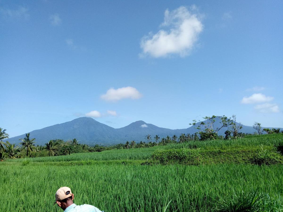Babahan Farmstay Selemadeg 外观 照片