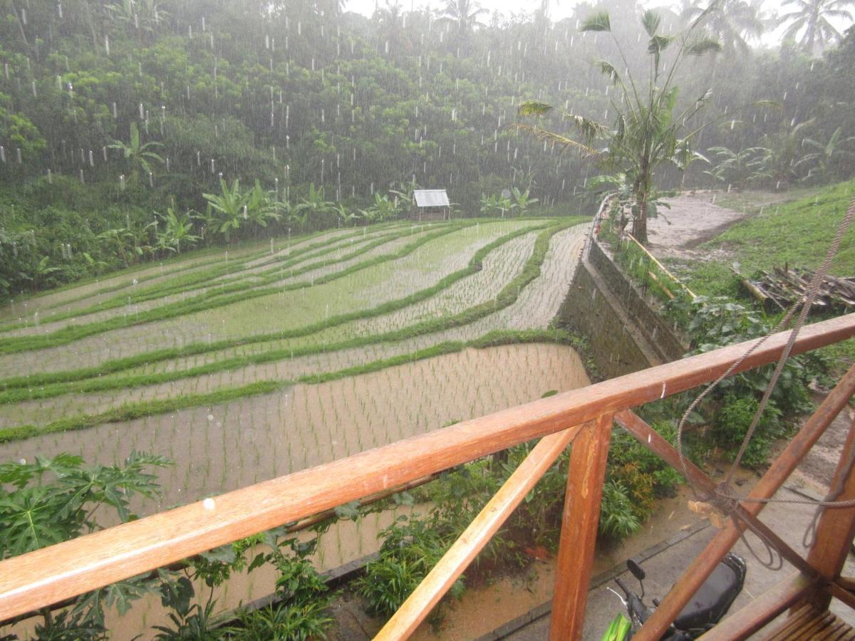 Babahan Farmstay Selemadeg 外观 照片