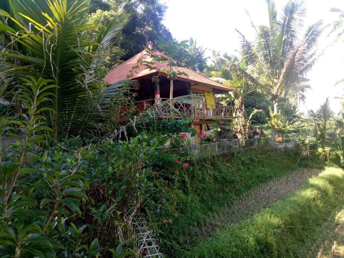 Babahan Farmstay Selemadeg 外观 照片