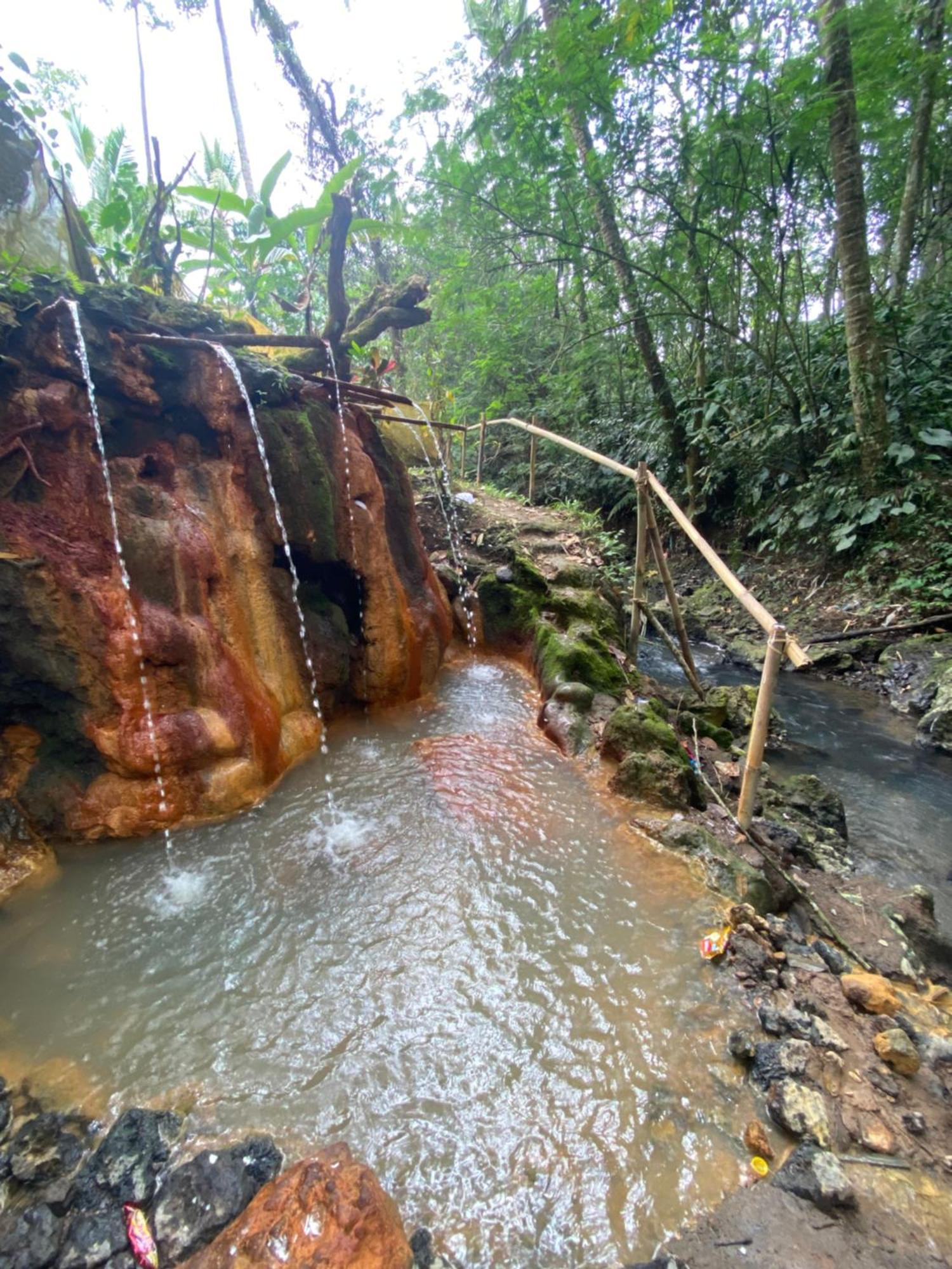 Babahan Farmstay Selemadeg 外观 照片