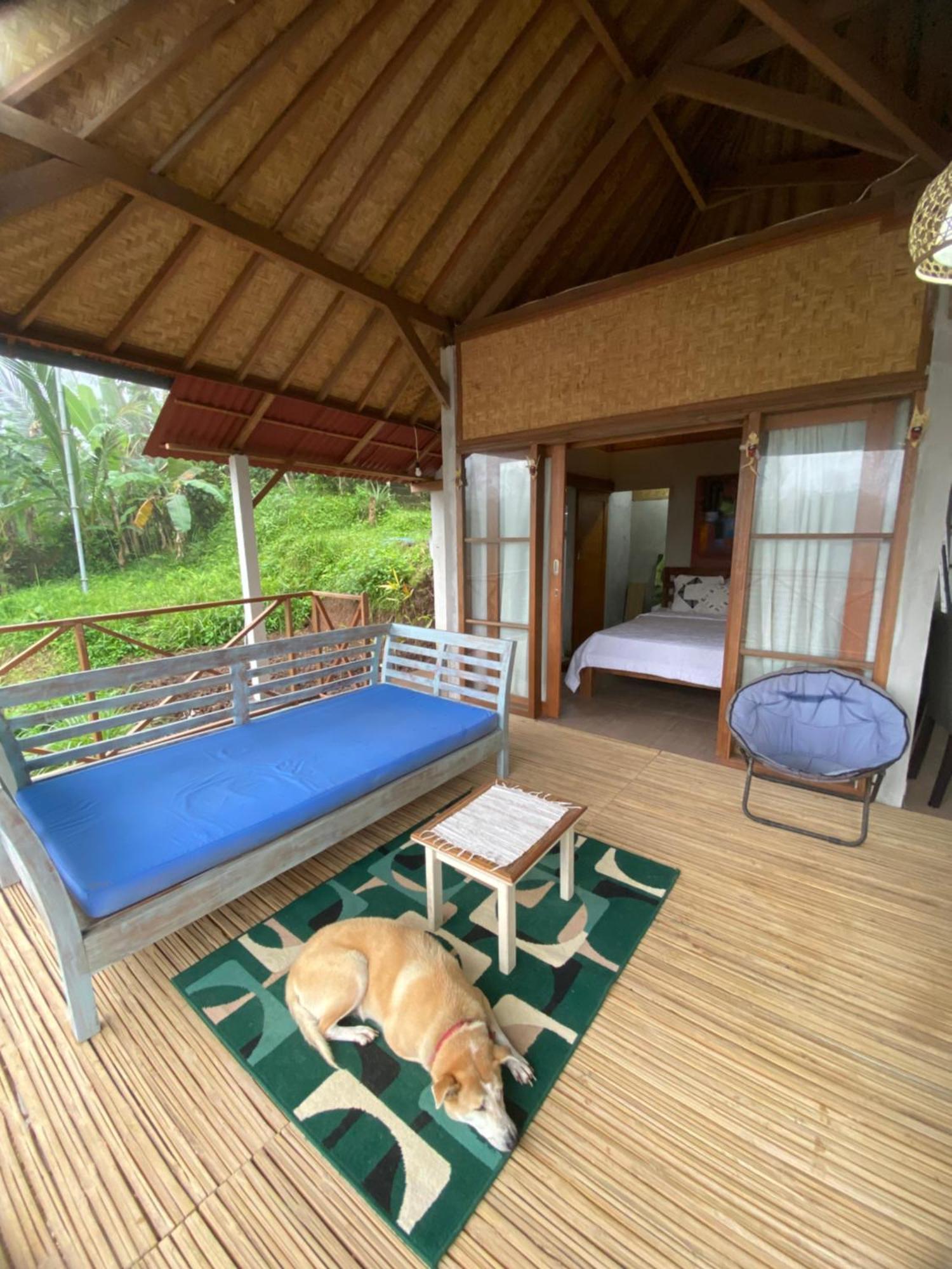 Babahan Farmstay Selemadeg 外观 照片